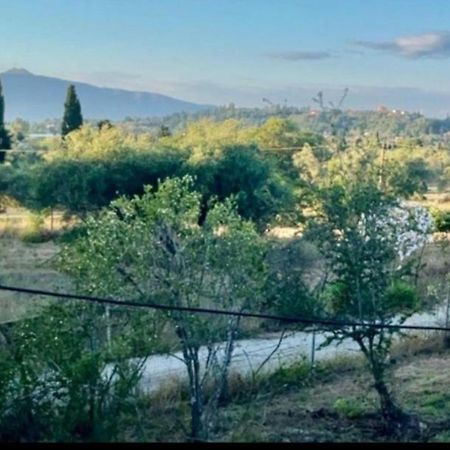 Cozy Corfu Bungalow 5 Minutes To Aqualand Ágios Ioánnis エクステリア 写真