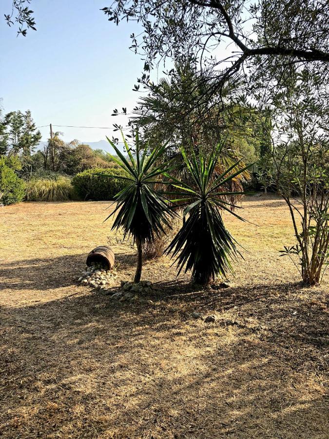 Cozy Corfu Bungalow 5 Minutes To Aqualand Ágios Ioánnis エクステリア 写真