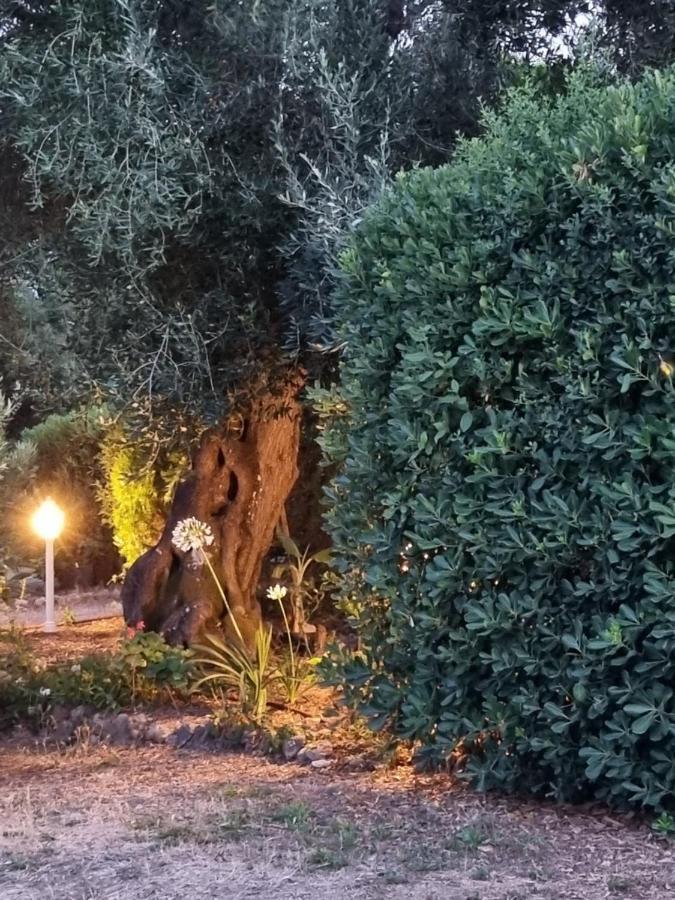 Cozy Corfu Bungalow 5 Minutes To Aqualand Ágios Ioánnis エクステリア 写真