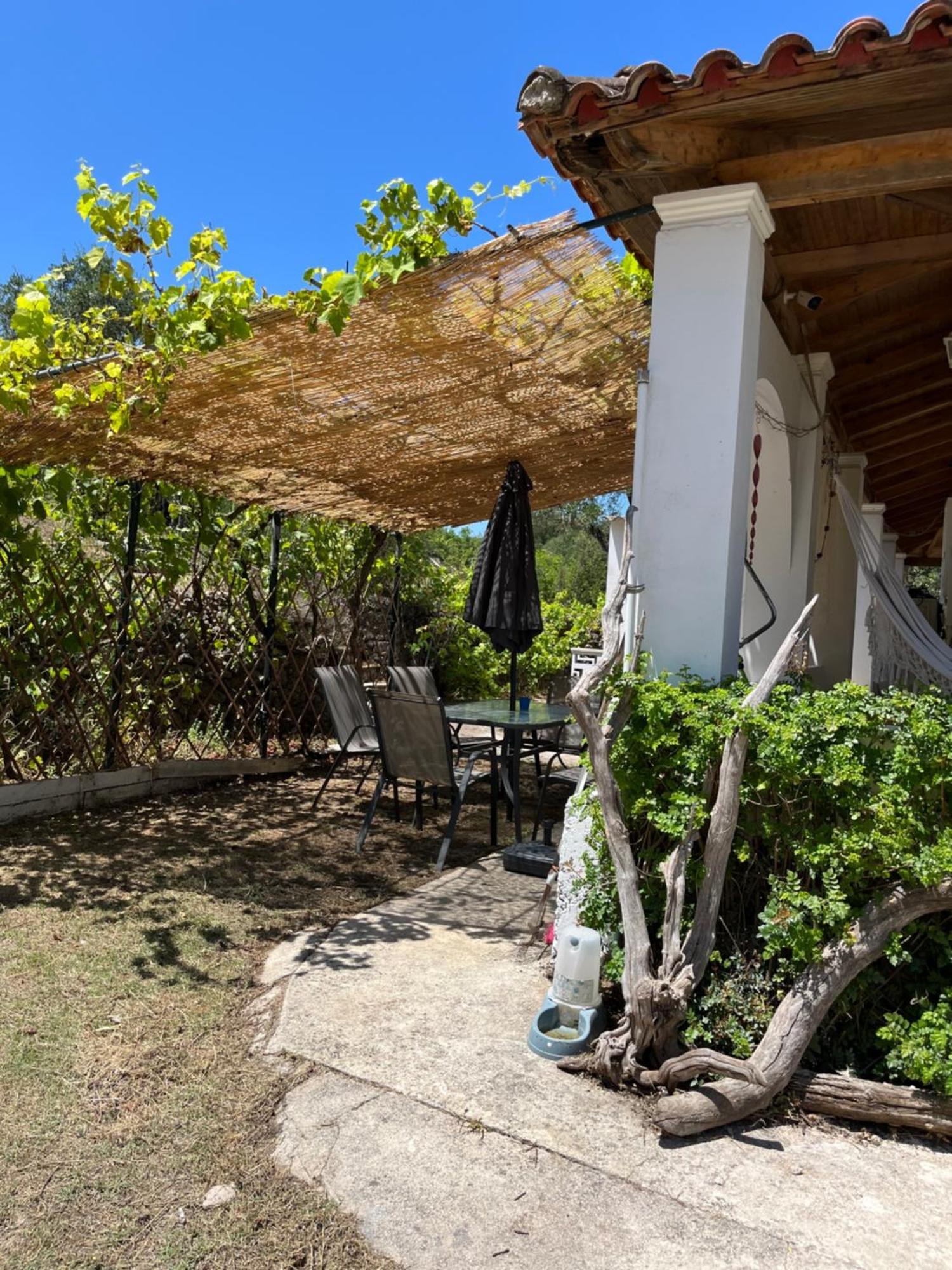 Cozy Corfu Bungalow 5 Minutes To Aqualand Ágios Ioánnis エクステリア 写真