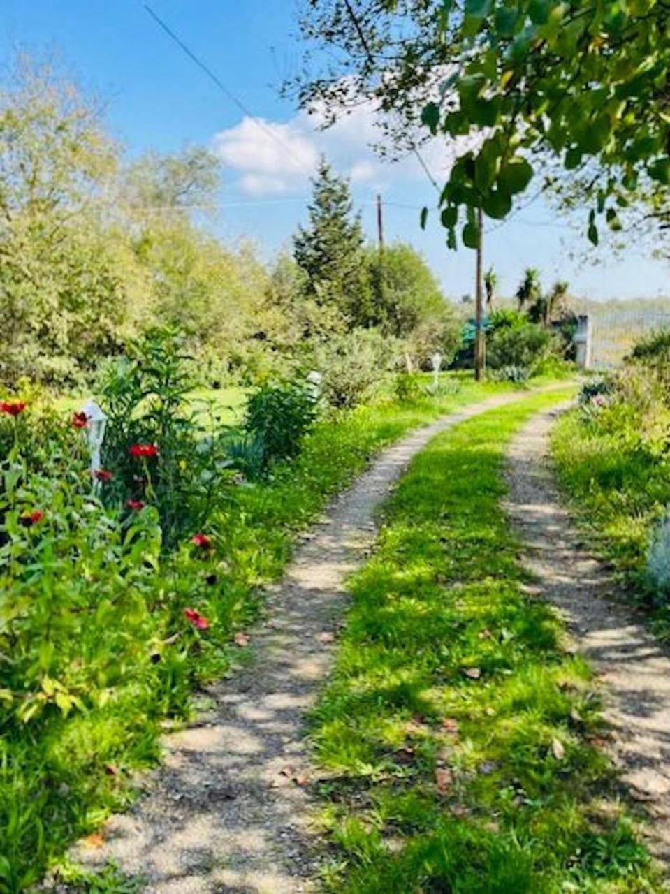 Cozy Corfu Bungalow 5 Minutes To Aqualand Ágios Ioánnis エクステリア 写真